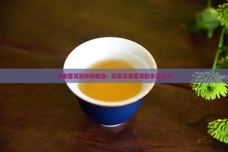 云南普洱茶种类精选：探索云南普洱的丰富风味