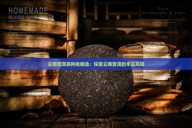 云南普洱茶种类精选：探索云南普洱的丰富风味