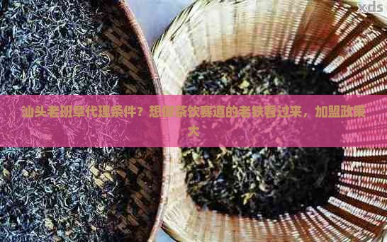汕头老班章代理条件？想做茶饮赛道的老铁看过来，加盟政策大