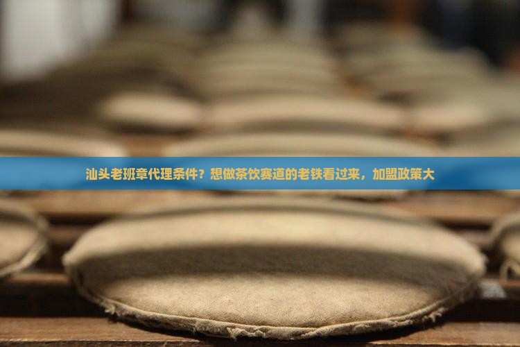 汕头老班章代理条件？想做茶饮赛道的老铁看过来，加盟政策大