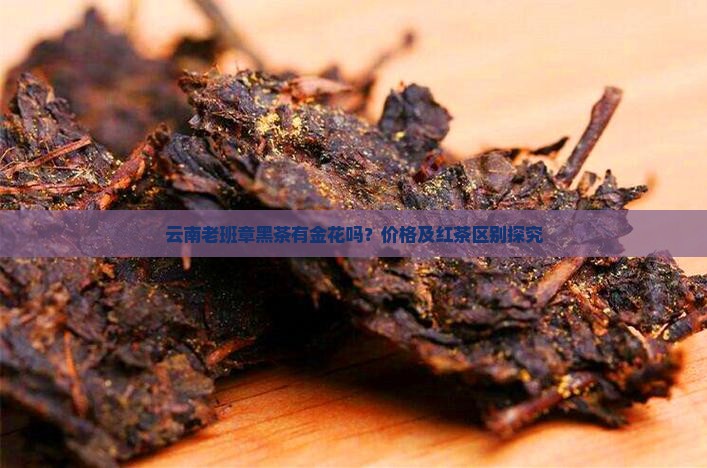 云南老班章黑茶有金花吗？价格及红茶区别探究