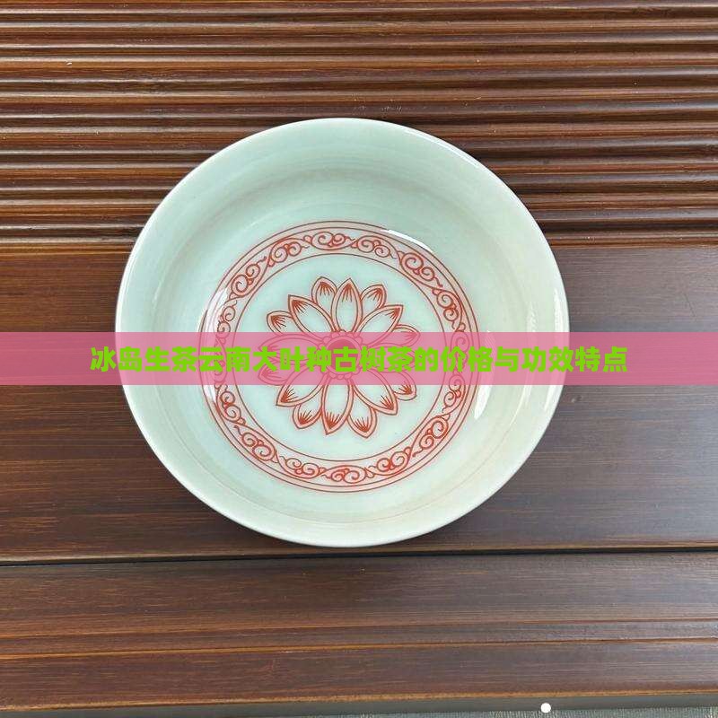 冰岛生茶云南大叶种古树茶的价格与功效特点
