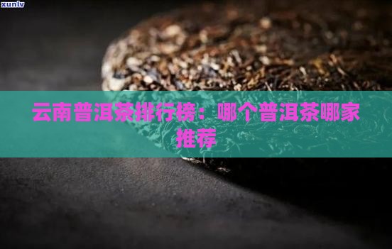云南普洱茶排行榜：哪个普洱茶哪家推荐