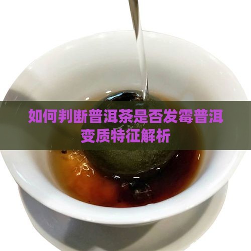 如何判断普洱茶是否发霉普洱变质特征解析