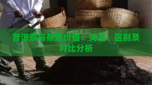 普洱茶与茶道价值：关系、区别及对比分析
