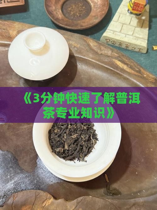 《3分钟快速了解普洱茶专业知识》