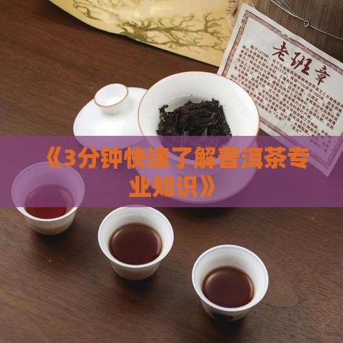 《3分钟快速了解普洱茶专业知识》