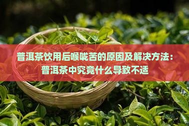普洱茶饮用后喉咙苦的原因及解决方法:普洱茶中究竟什么导致不适 普洱茶饮用后喉咙苦的原因及解决方法:普洱茶中究竟什么导致不适