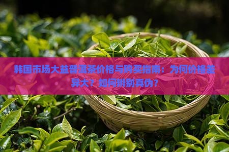 韩国市场大益普洱茶价格与购买指南：为何价格差异大？如何辨别真伪？