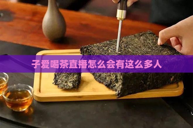 子爱喝茶直播怎么会有这么多人