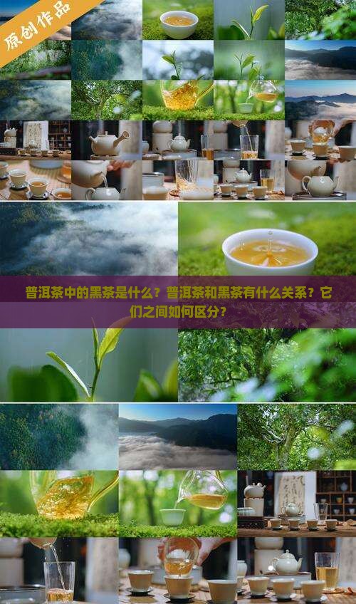 普洱茶中的黑茶是什么？普洱茶和黑茶有什么关系？它们之间如何区分？
