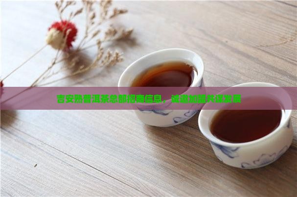 吉安熟普洱茶总部招商信息，诚邀加盟共谋发展