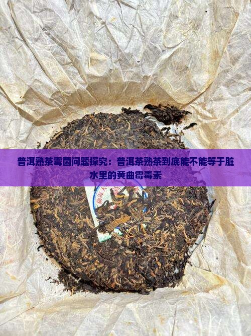 普洱熟茶霉菌问题探究：普洱茶熟茶到底能不能等于脏水里的黄曲霉毒素
