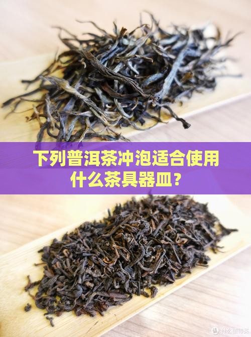 下列普洱茶冲泡适合使用什么茶具器皿？