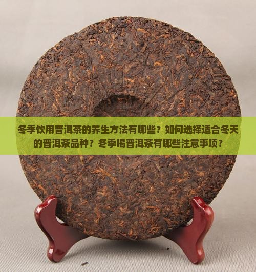 冬季饮用普洱茶的养生方法有哪些？如何选择适合冬天的普洱茶品种？冬季喝普洱茶有哪些注意事项？