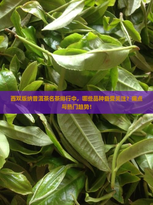 西双版纳普洱茶名茶排行中，哪些品种备受关注？痛点与热门趋势！