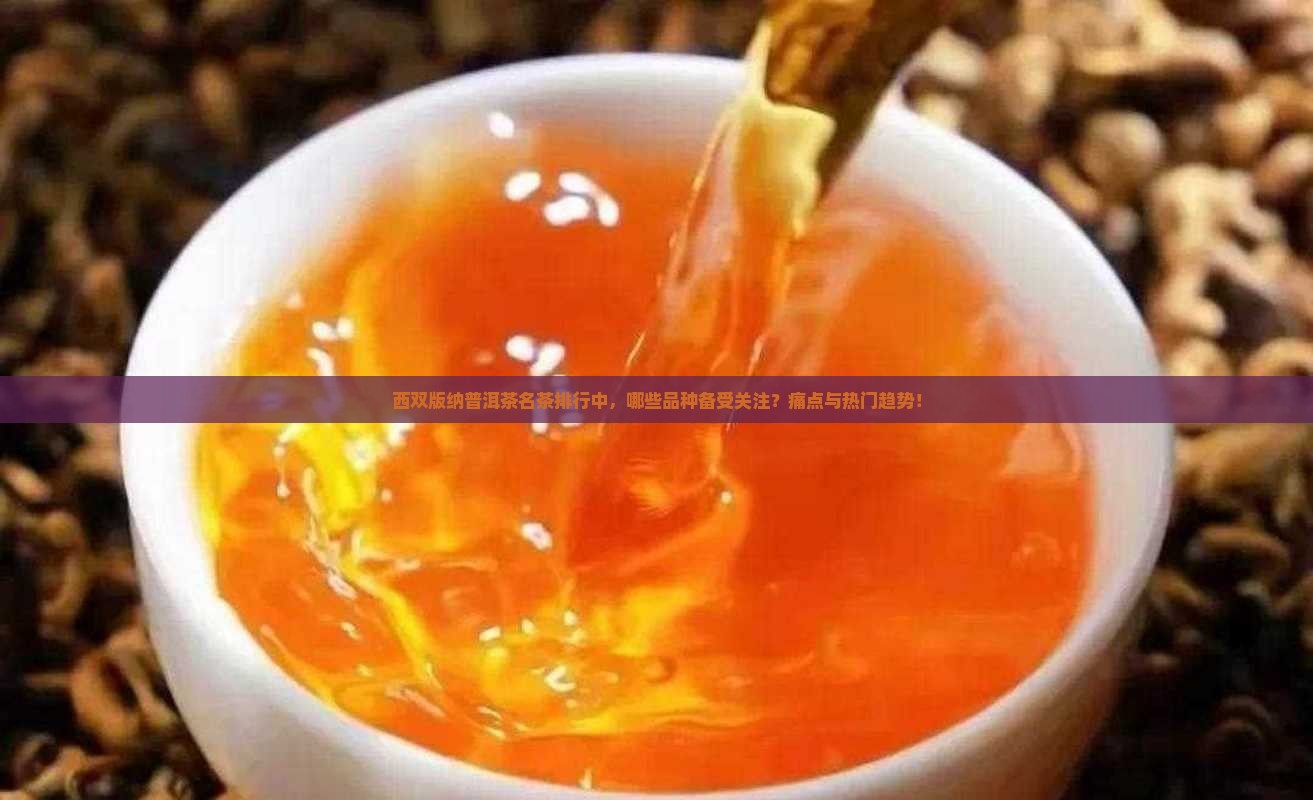 西双版纳普洱茶名茶排行中，哪些品种备受关注？痛点与热门趋势！