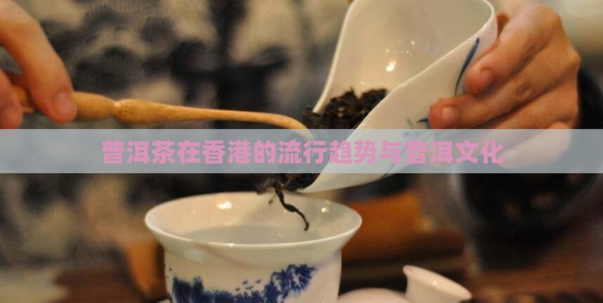普洱茶在香港的流行趋势与普洱文化
