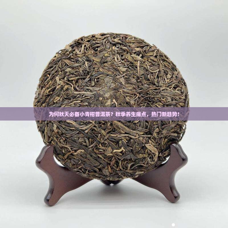 为何秋天必备小青柑普洱茶？秋季养生痛点，热门新趋势！