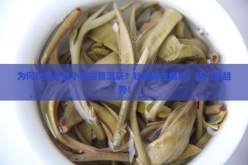 为何秋天必备小青柑普洱茶？秋季养生痛点，热门新趋势！