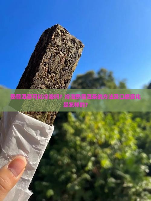 熟普洱茶可以冷泡吗？冷泡熟普洱茶的方法及口感变化是怎样的？