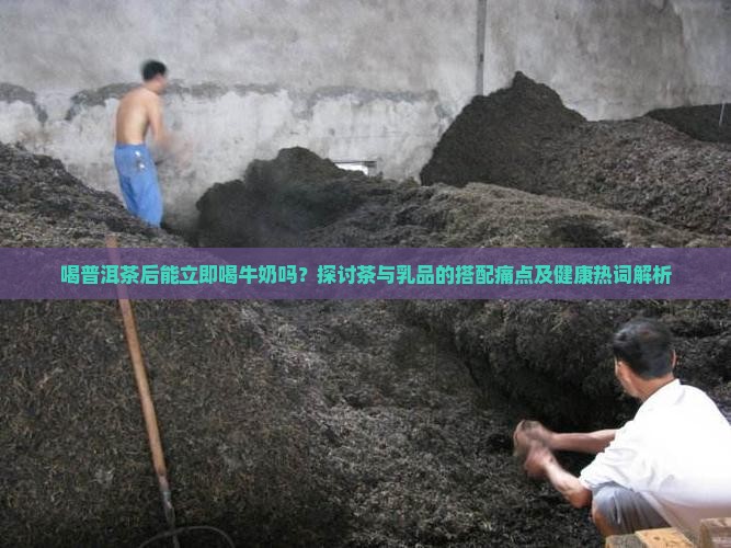喝普洱茶后能立即喝牛奶吗？探讨茶与乳品的搭配痛点及健康热词解析