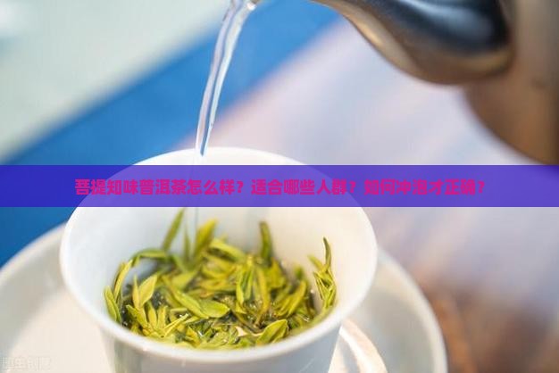 菩提知味普洱茶怎么样？适合哪些人群？如何冲泡才正确？