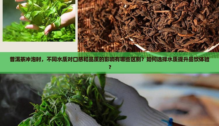 普洱茶冲泡时，不同水质对口感和品质的影响有哪些区别？如何选择水质提升品饮体验？