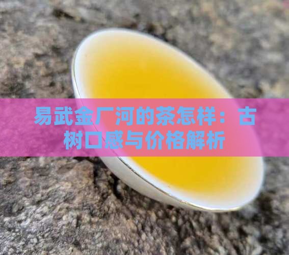 易武金厂河的茶怎样：古树口感与价格解析