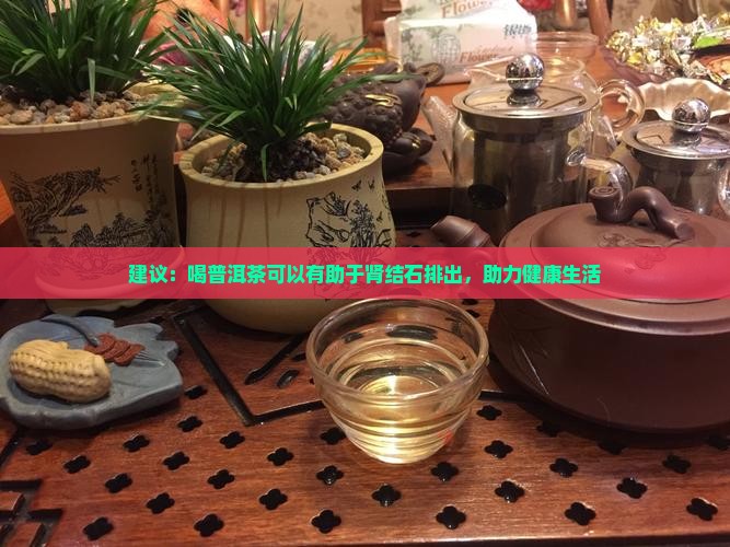 建议：喝普洱茶可以有助于肾结石排出，助力健康生活
