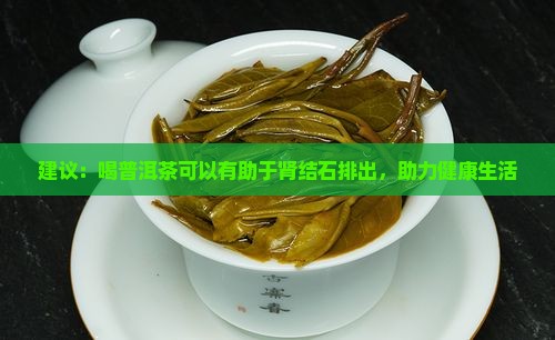建议：喝普洱茶可以有助于肾结石排出，助力健康生活