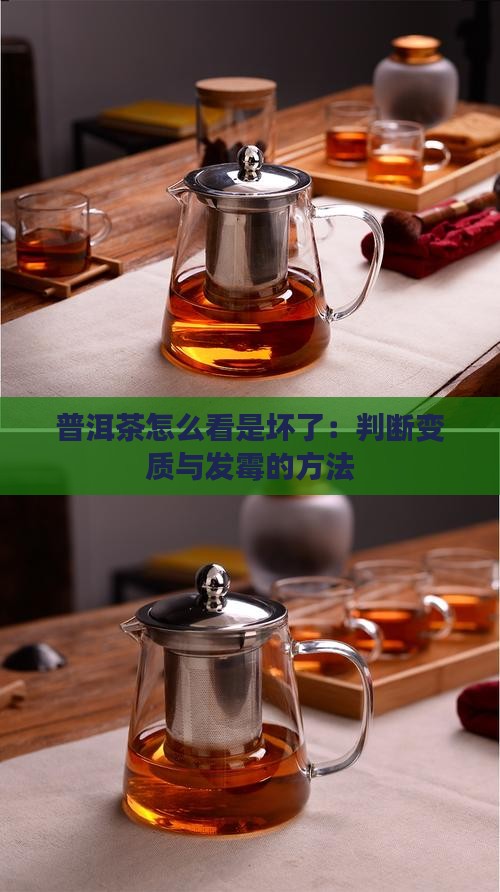 普洱茶怎么看是坏了：判断变质与发霉的方法