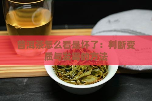 普洱茶怎么看是坏了：判断变质与发霉的方法
