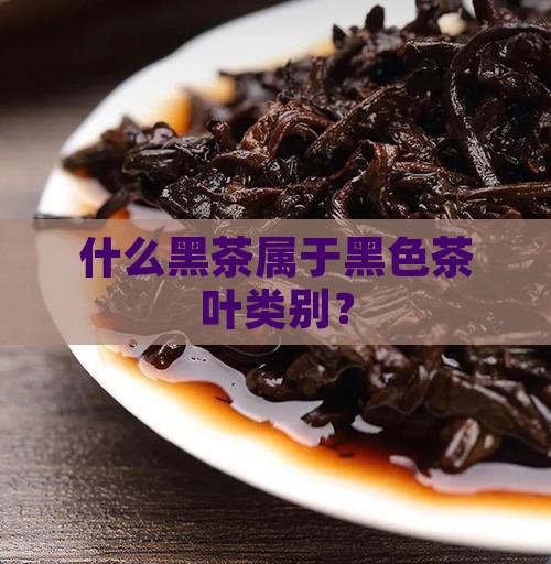 什么黑茶属于黑色茶叶类别？