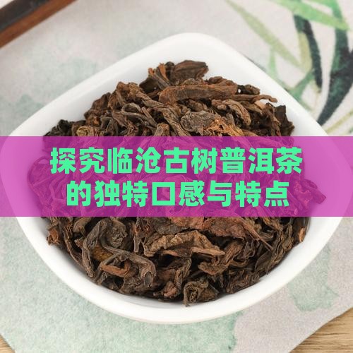探究临沧古树普洱茶的独特口感与特点