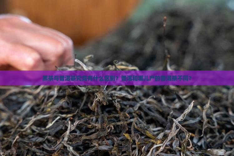 黑茶与普洱茶究竟有什么区别？普洱和哪儿产的普洱茶不同？