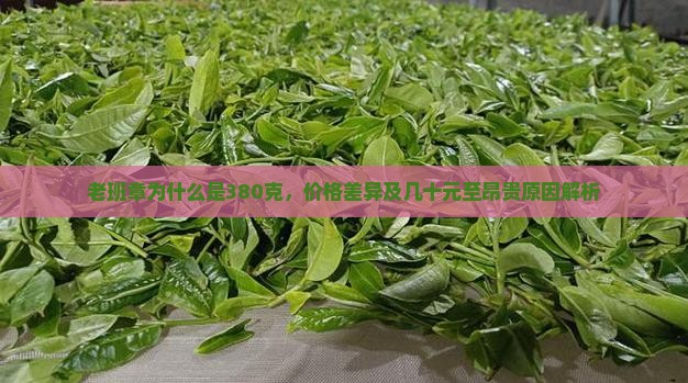 老班章为什么是380克，价格差异及几十元至昂贵原因解析