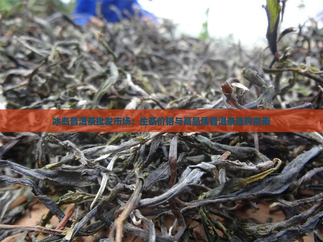 冰岛普洱茶批发市场：生茶价格与高品质普洱茶选购指南