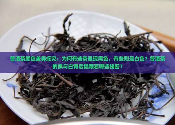 普洱茶颜色差异探究：为何有些茶呈现黑色，有些则是白色？普洱茶的黑与白背后隐藏着哪些秘密？