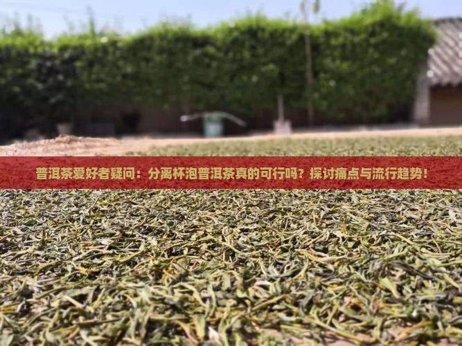 普洱茶爱好者疑问：分离杯泡普洱茶真的可行吗？探讨痛点与流行趋势！