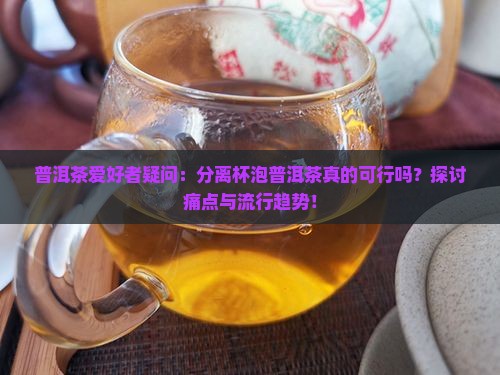 普洱茶爱好者疑问：分离杯泡普洱茶真的可行吗？探讨痛点与流行趋势！
