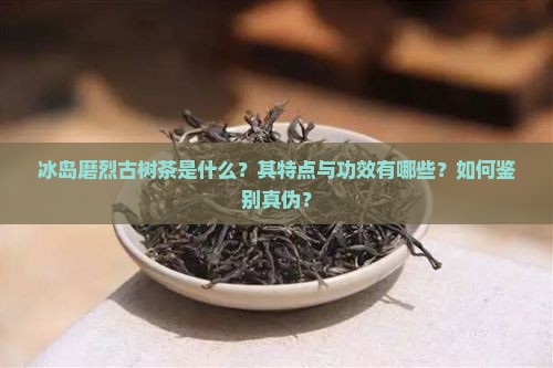 冰岛磨烈古树茶是什么？其特点与功效有哪些？如何鉴别真伪？
