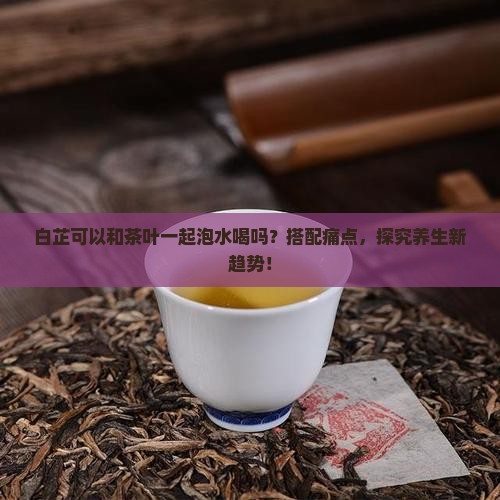 白芷可以和茶叶一起泡水喝吗？搭配痛点，探究养生新趋势！