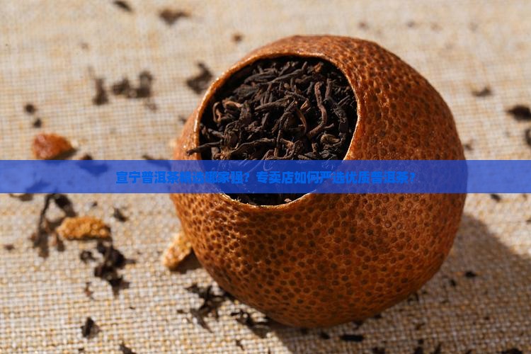 宣宁普洱茶精选哪家强？专卖店如何严选优质普洱茶？