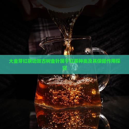 大金芽红茶功效古树金针属于红茶种类及其保健作用探究