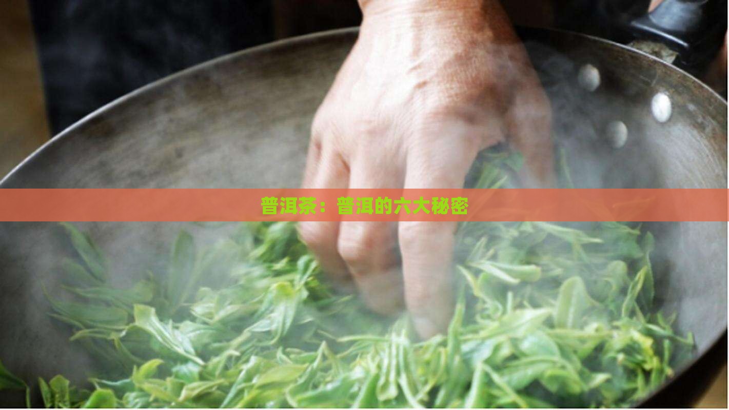 普洱茶：普洱的六大秘密