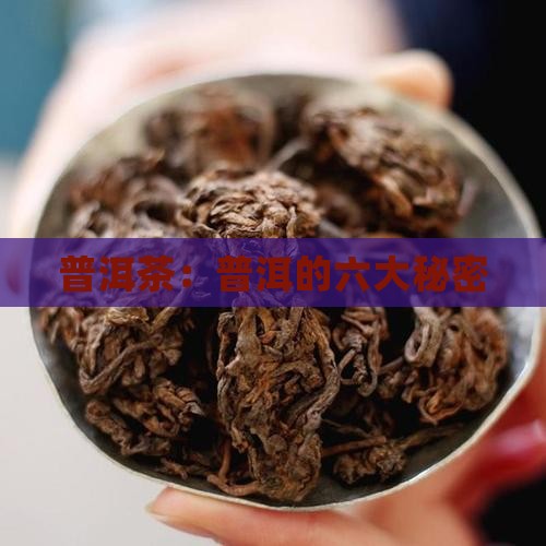 普洱茶：普洱的六大秘密