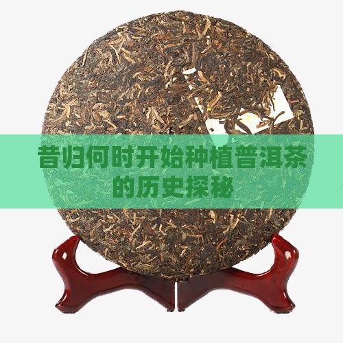 昔归何时开始种植普洱茶的历史探秘