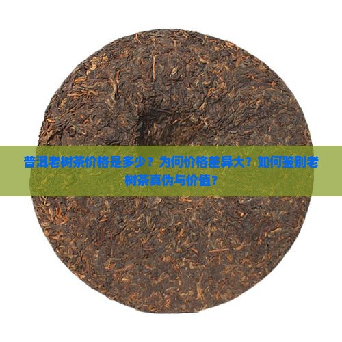 普洱老树茶价格是多少？为何价格差异大？如何鉴别老树茶真伪与价值？