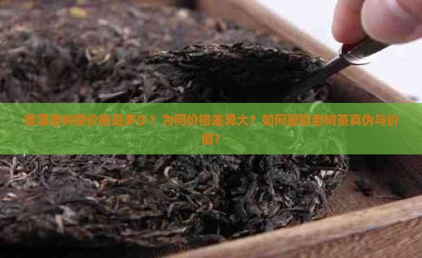 普洱老树茶价格是多少？为何价格差异大？如何鉴别老树茶真伪与价值？